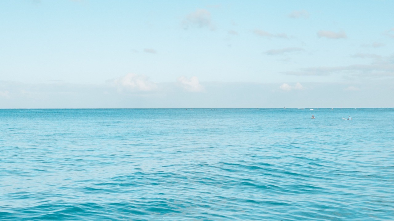 Photo of Others in Hulhumale