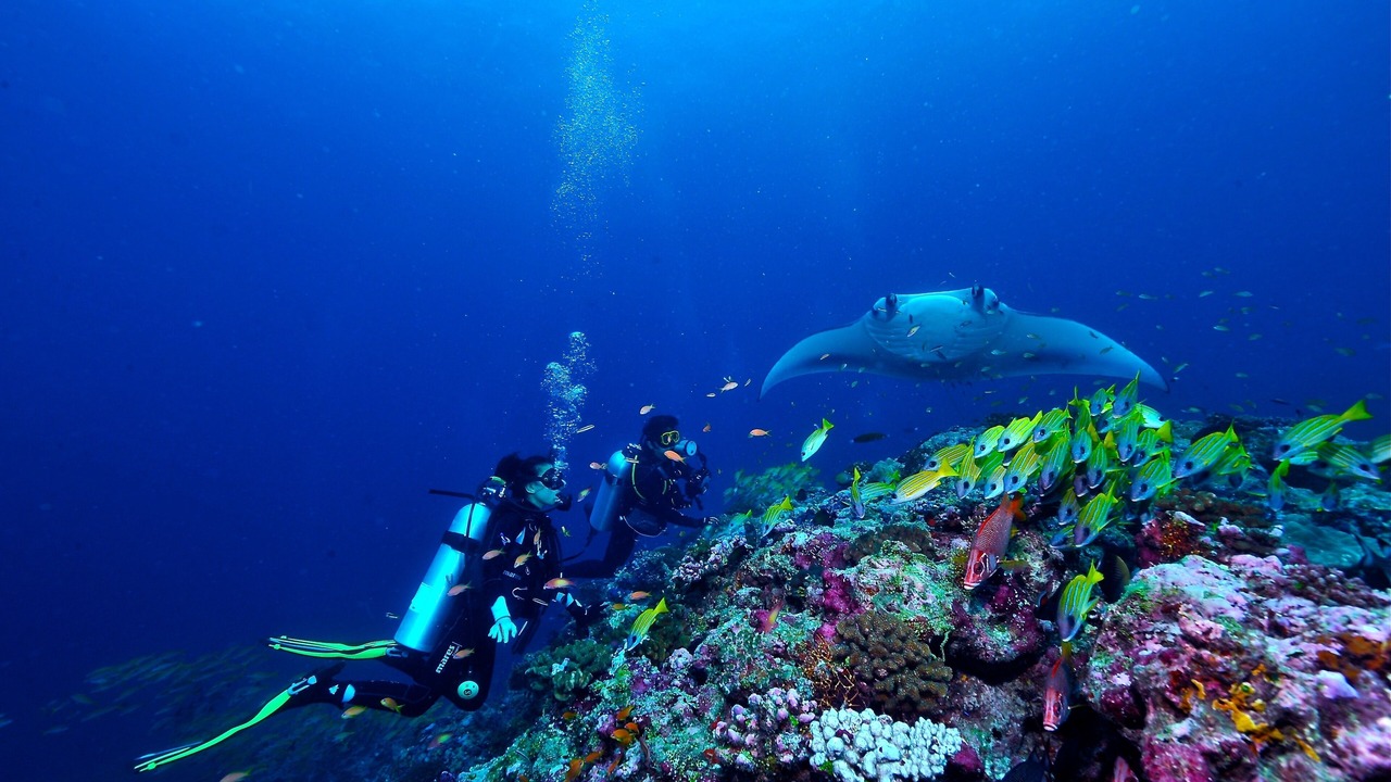 Photo of Others in Maadhoo