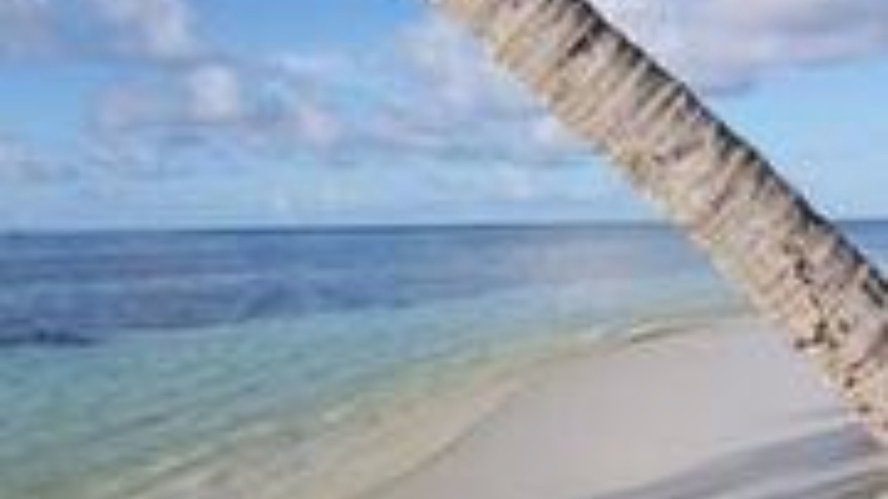 Photo of Others in Nilandhoo