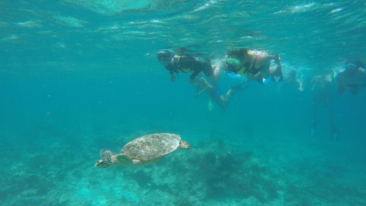 Photo of Others in Fulidhoo