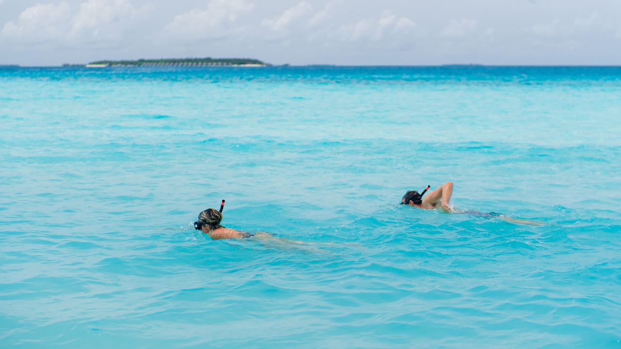 Photo of Others in Dharavandhoo
