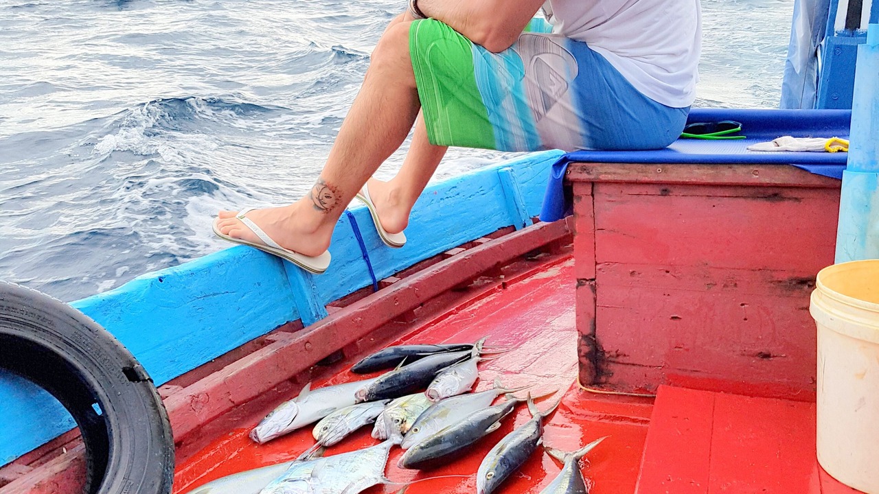 Photo of Others in Hangnaameedhoo