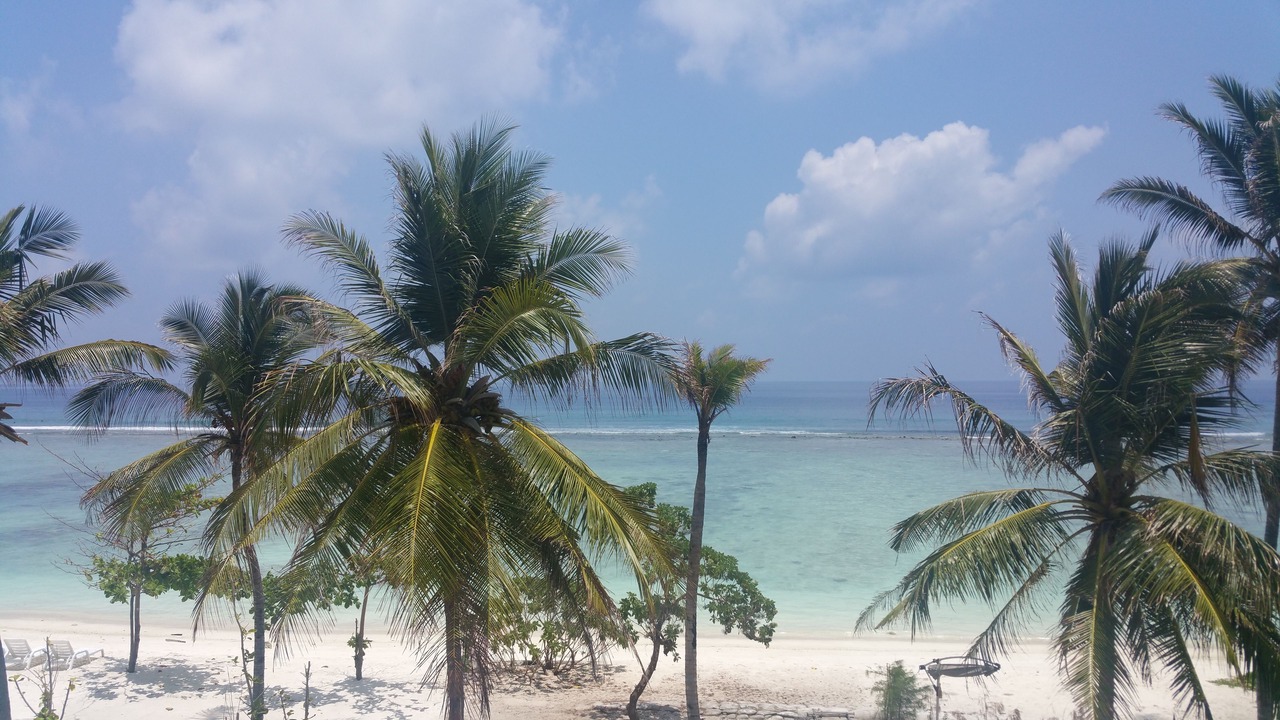Photo of Others in Hulhumale
