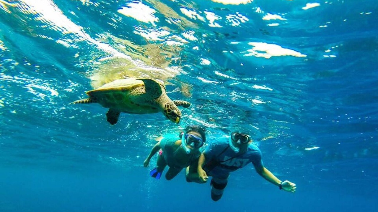 Photo of Others in Thulusdhoo Island