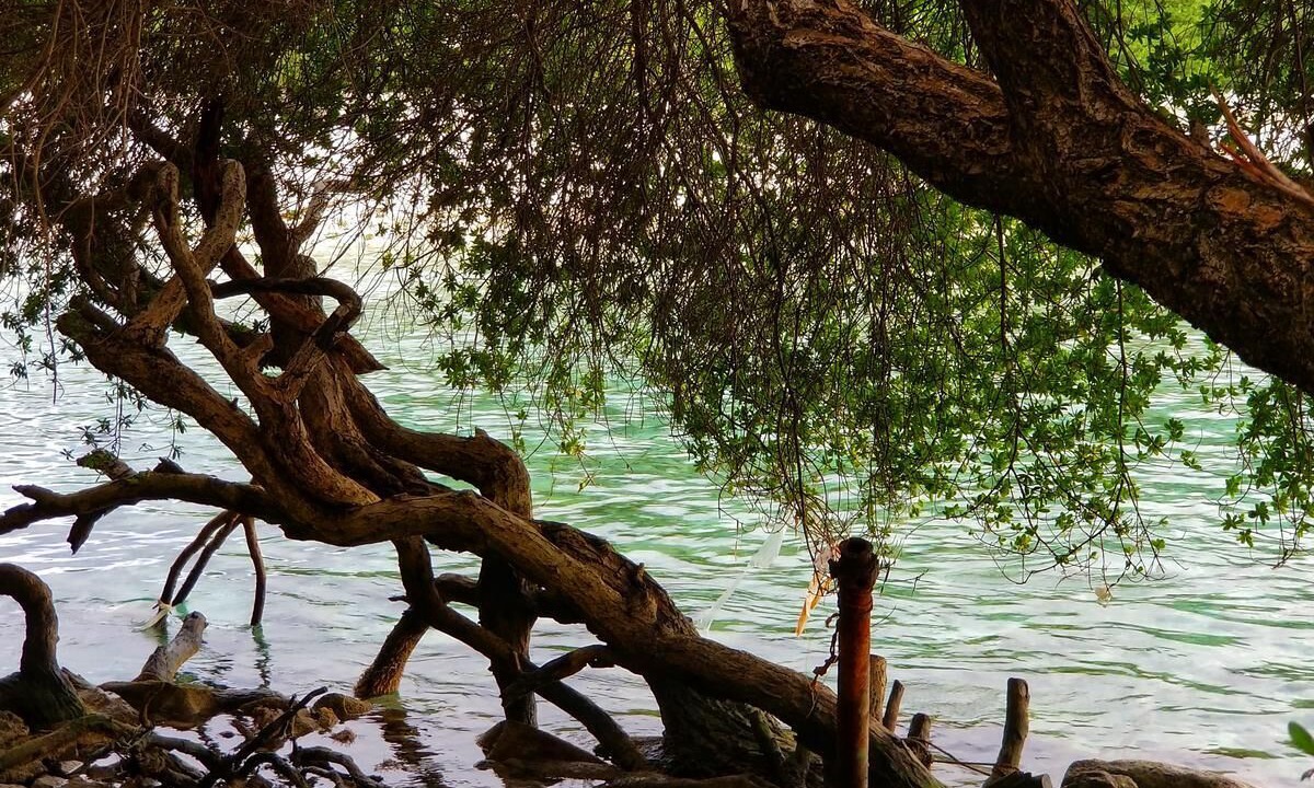 Photo of Outdoor in Thulusdhoo Island