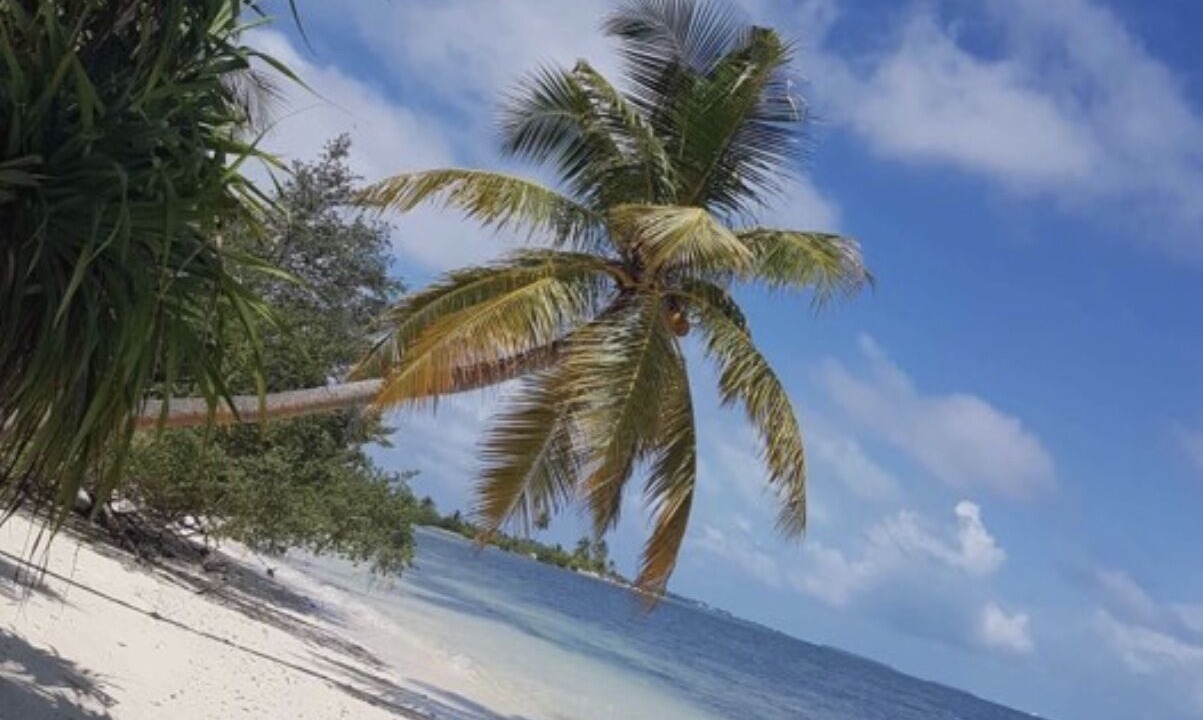 Photo of Others in Dhidhdhoo