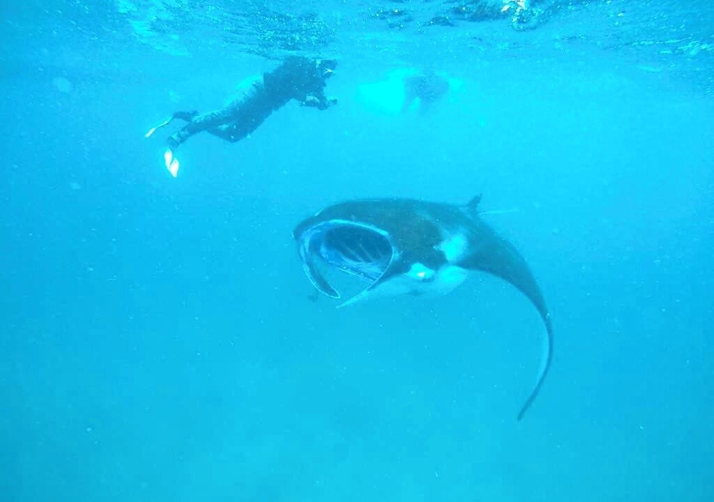 Photo of Others in Dhidhdhoo