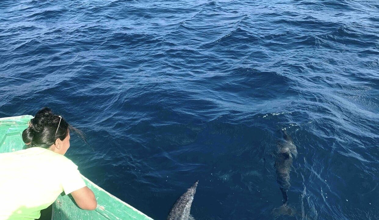 Photo of Others in Dhidhdhoo