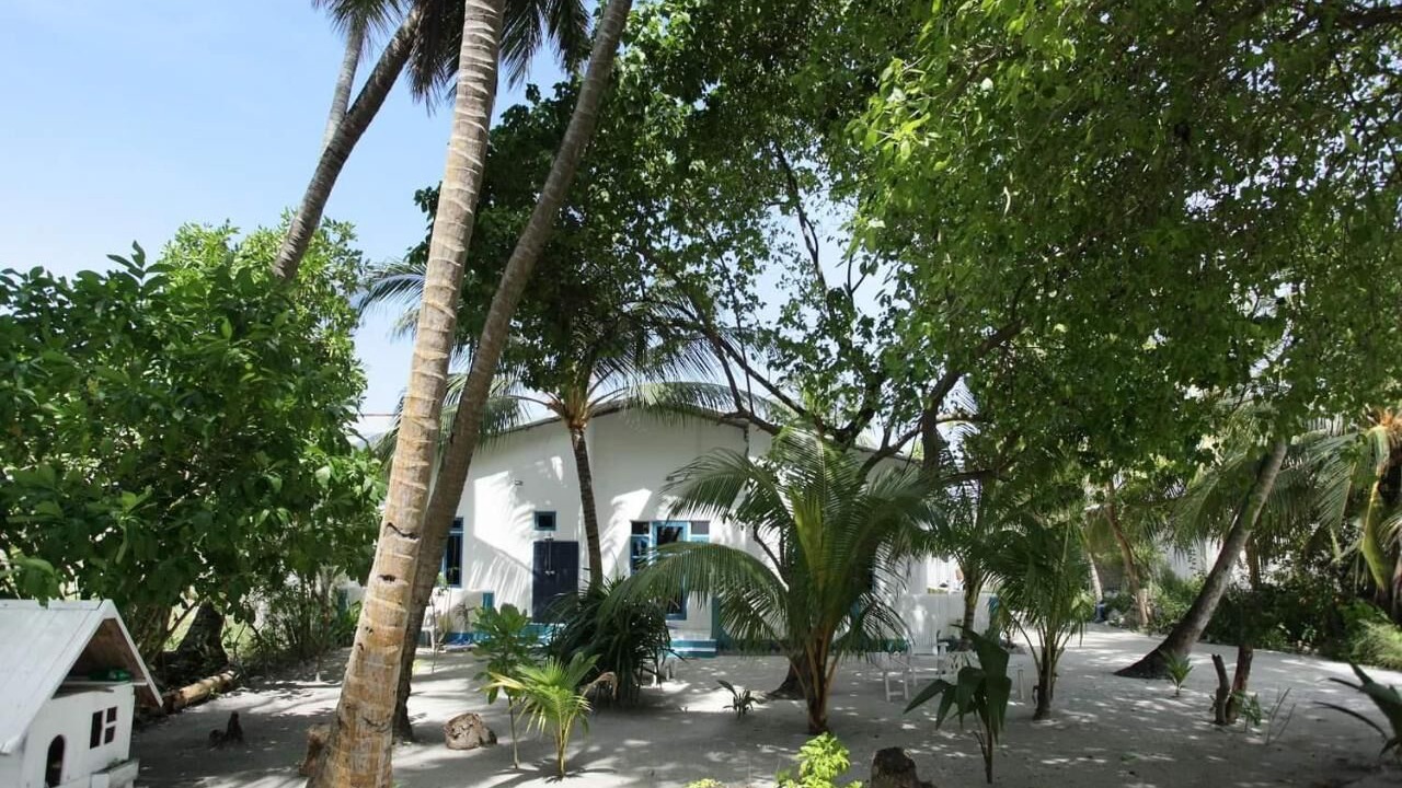 Photo of Outdoor in Male