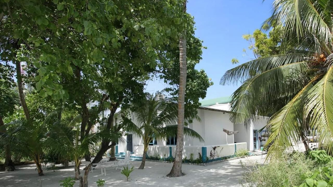 Photo of Outdoor in Male