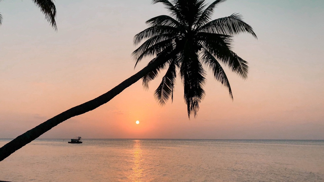 Photo of Others in Farukolhufushi Island