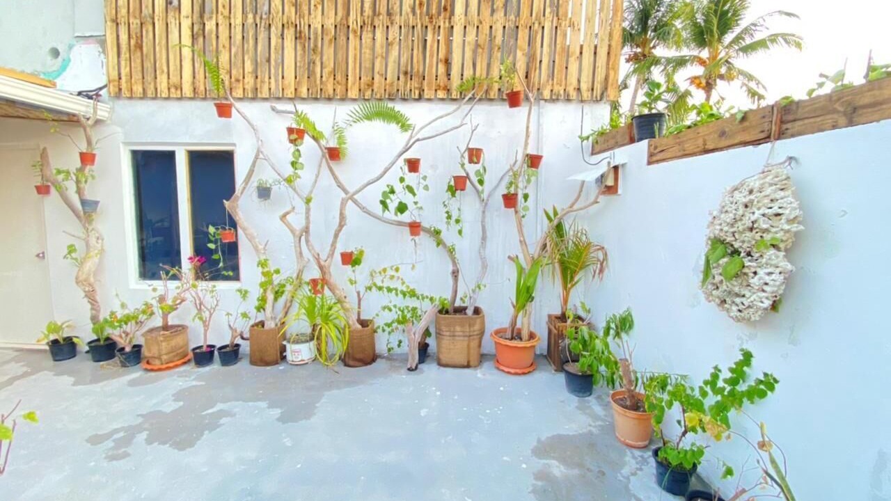 Photo of Outdoor in Farukolhufushi Island