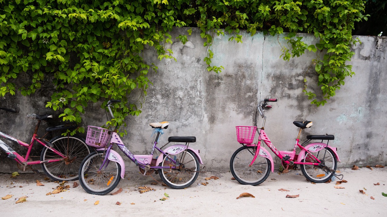 Photo of Outdoor in Thulusdhoo Island
