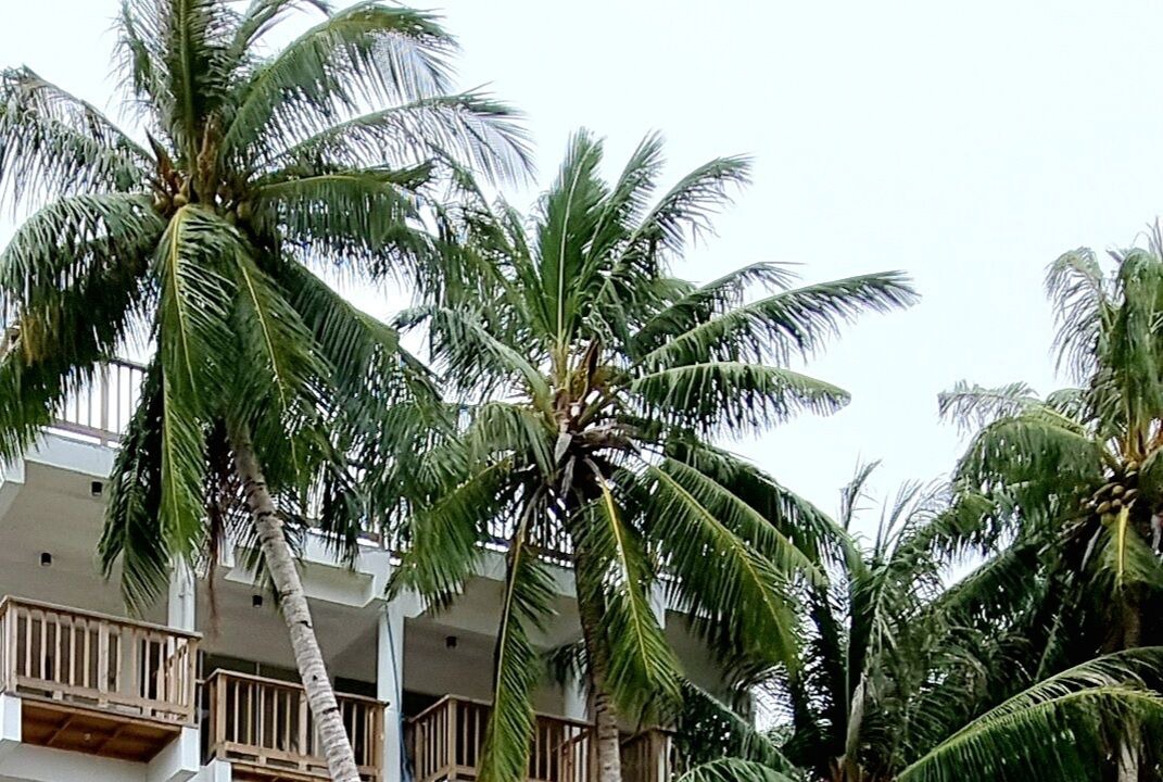 Photo of Outdoor in Thulusdhoo Island