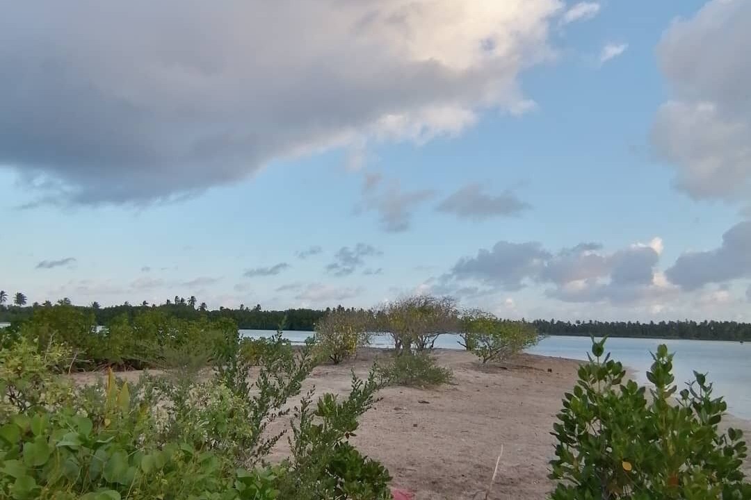 Photo of Others in Hithadhoo