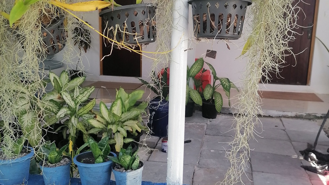 Photo of Outdoor in Hithadhoo