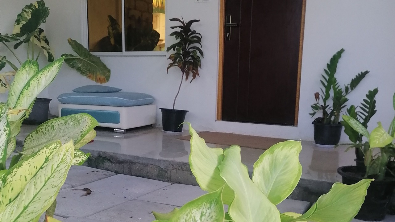 Photo of Outdoor in Hithadhoo