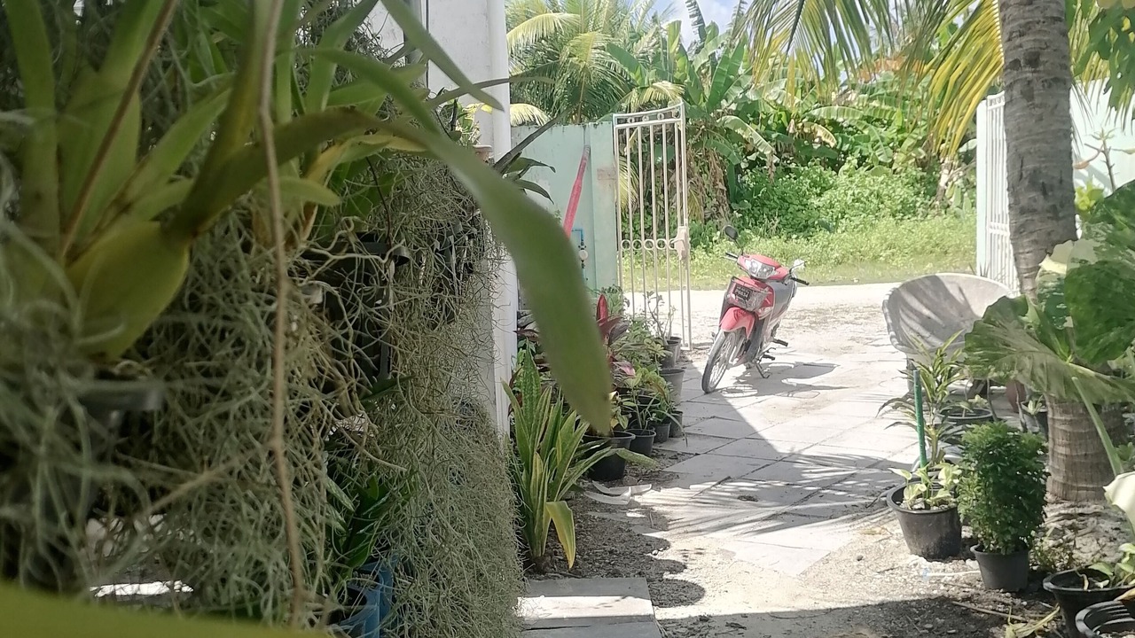 Photo of Outdoor in Hithadhoo