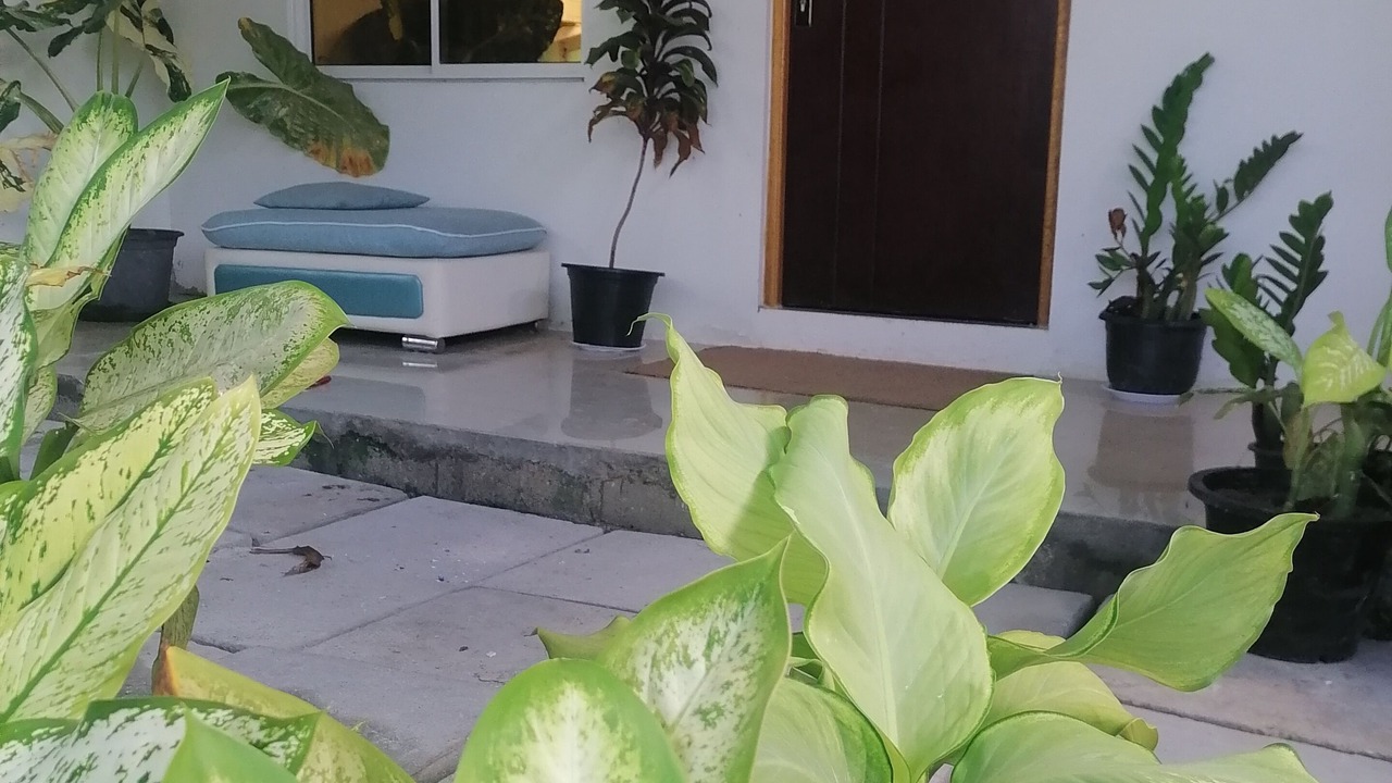 Photo of Outdoor in Hithadhoo