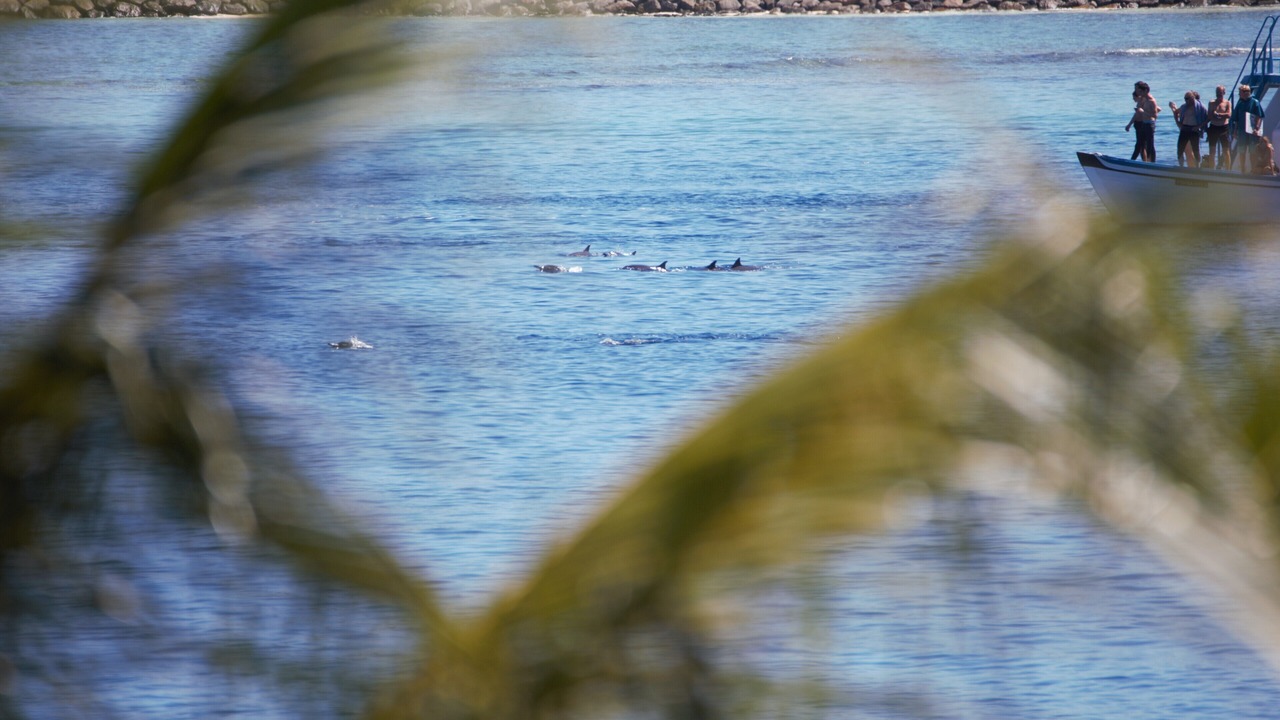 Photo of Others in Thulusdhoo Island