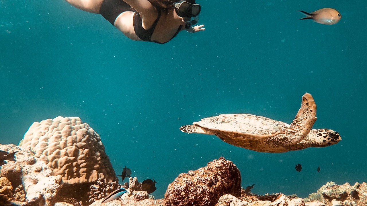 Photo of Others in Rasdhoo