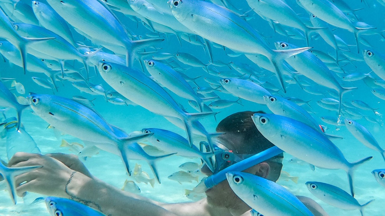 Photo of Outdoor in Rasdhoo