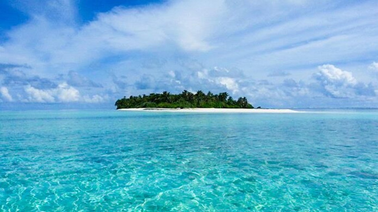 Photo of Others in Gaafu Alifu Atoll