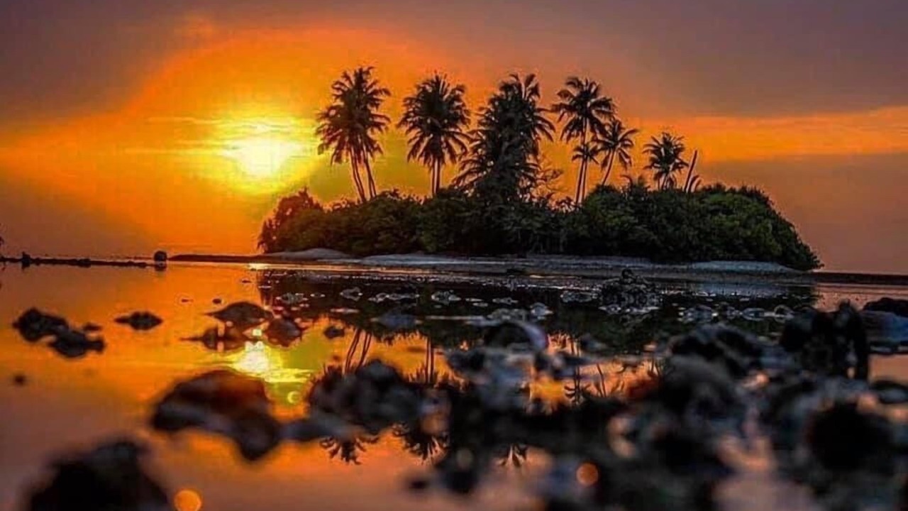 Photo of Others in Gaafu Alifu Atoll
