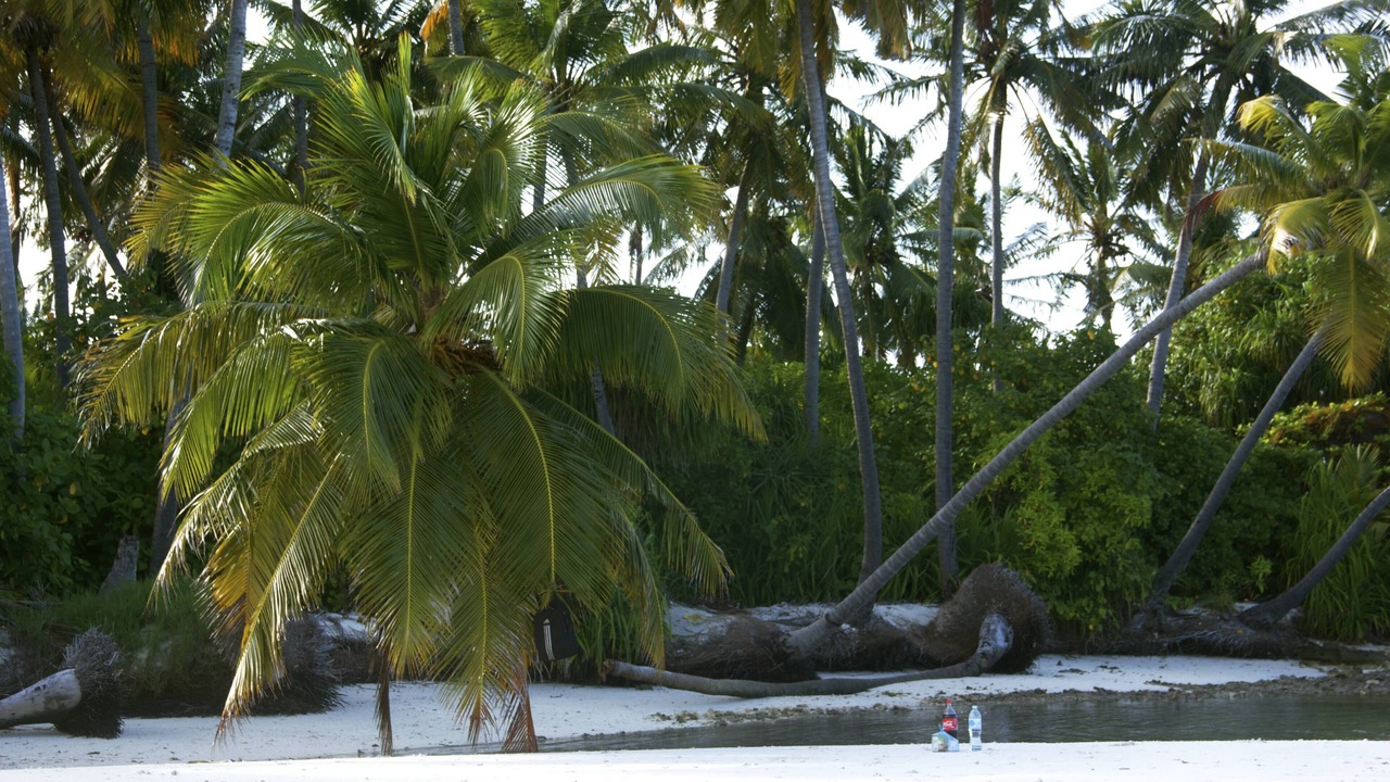 Photo of Others in Gaafu Alifu Atoll