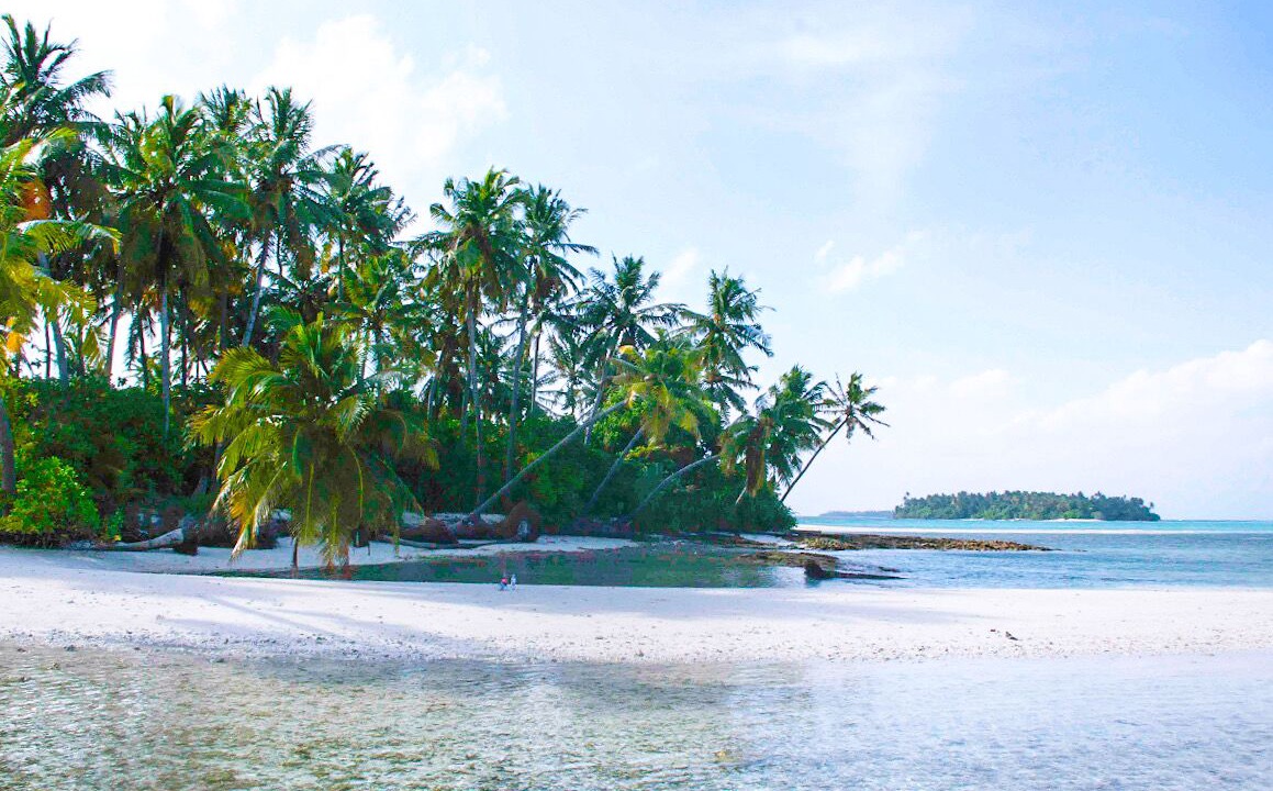 Photo of Others in Gaafu Alifu Atoll