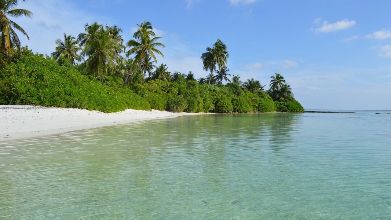 Photo of Others in Gaafu Alifu Atoll