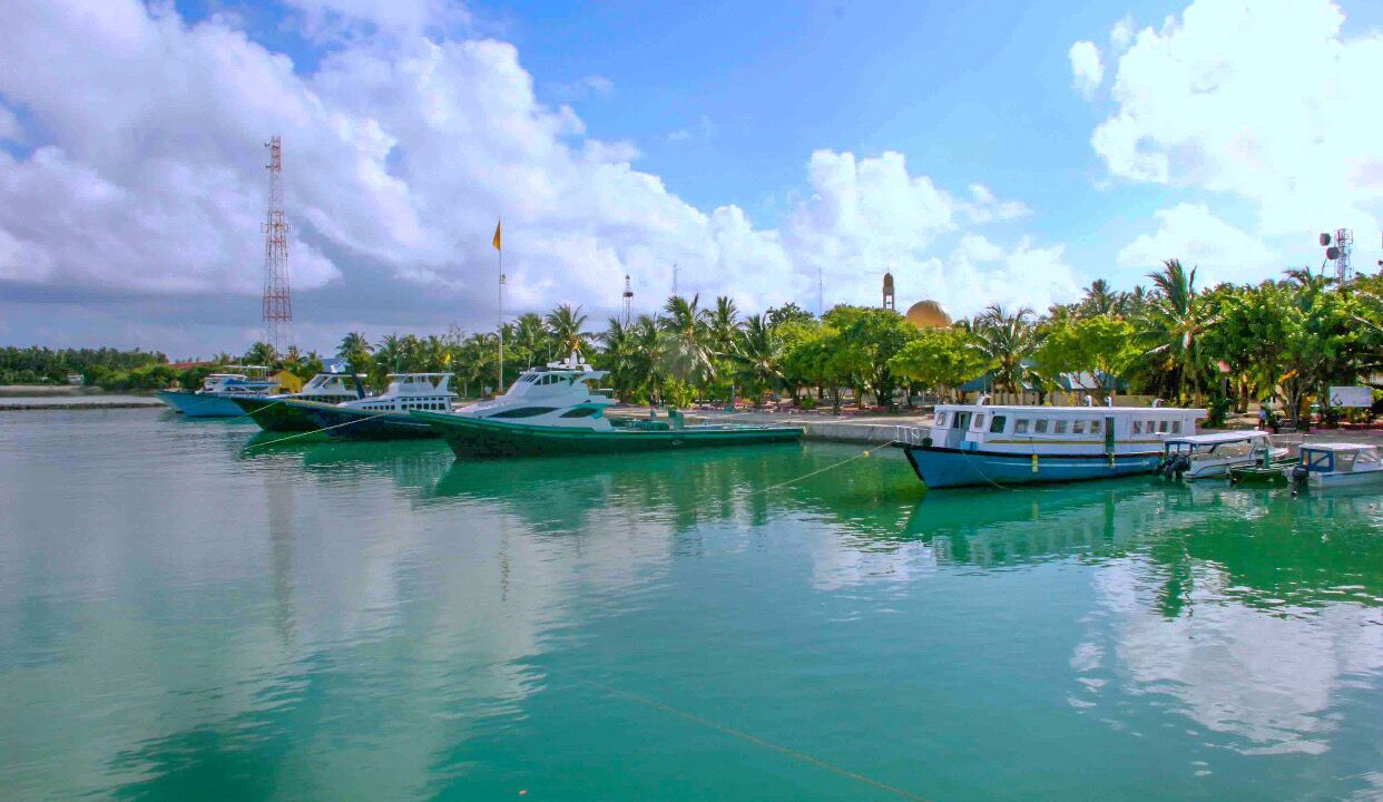 Photo of Others in Gaafu Alifu Atoll