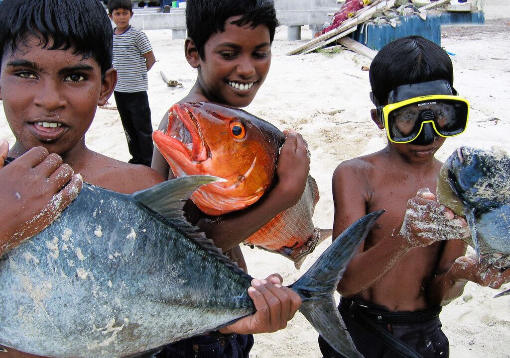 Photo of Others in Dhangethi