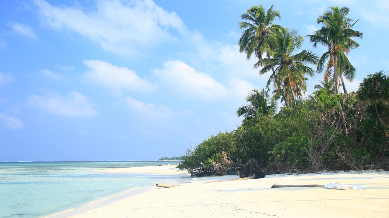 Photo of Others in Dhangethi