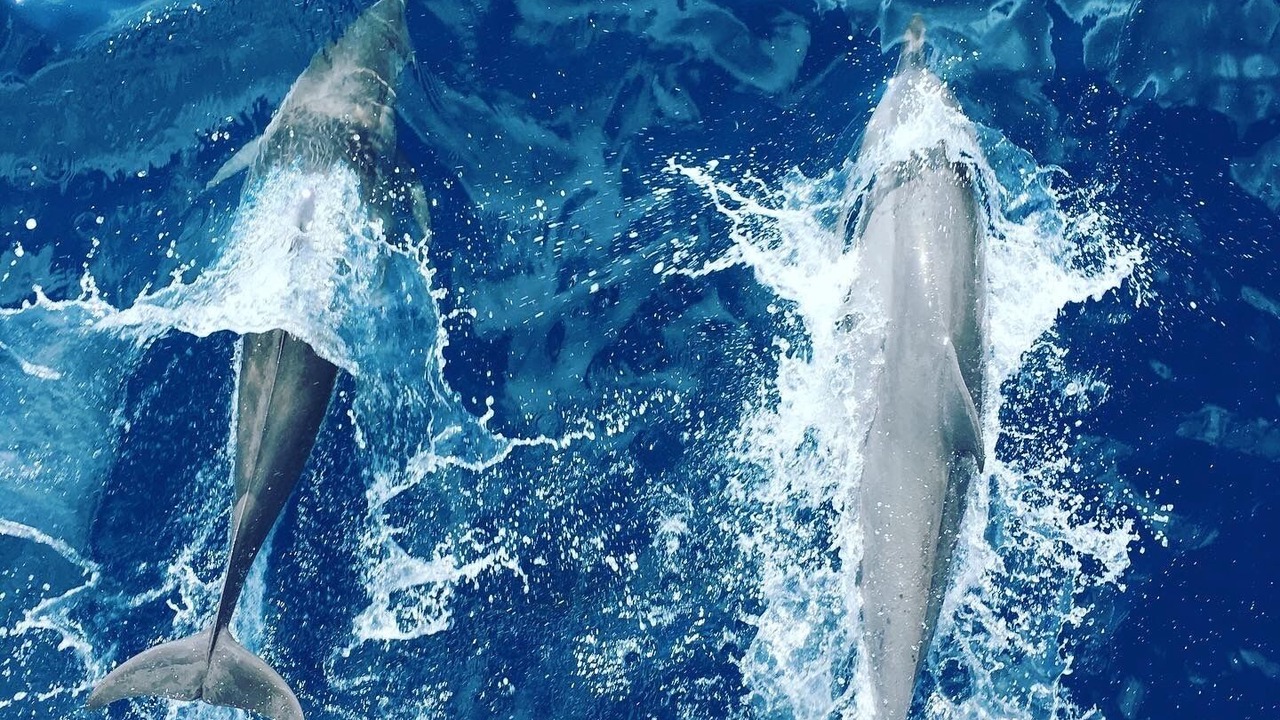 Photo of Outdoor in Hulhumale