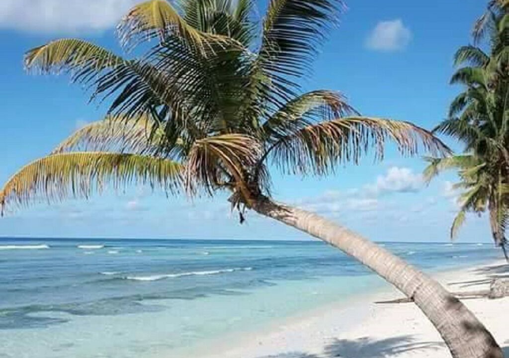 Photo of Others in Hulhudhoo