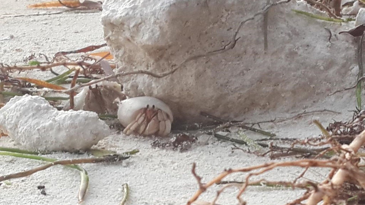 Photo of Outdoor in Dhangethi