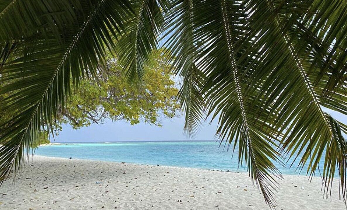 Photo of Others in Haa Dhaalu Atoll