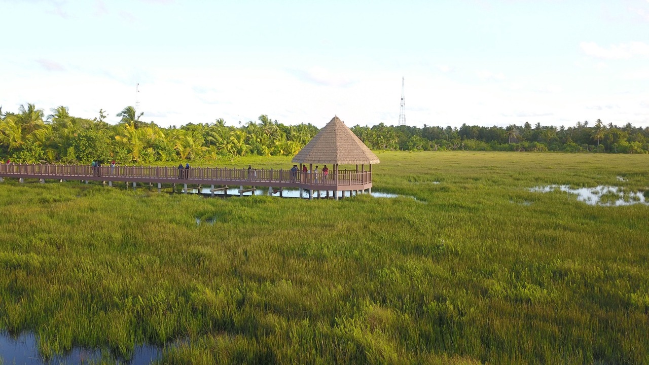 Photo of Outdoor in Fuvahmulah