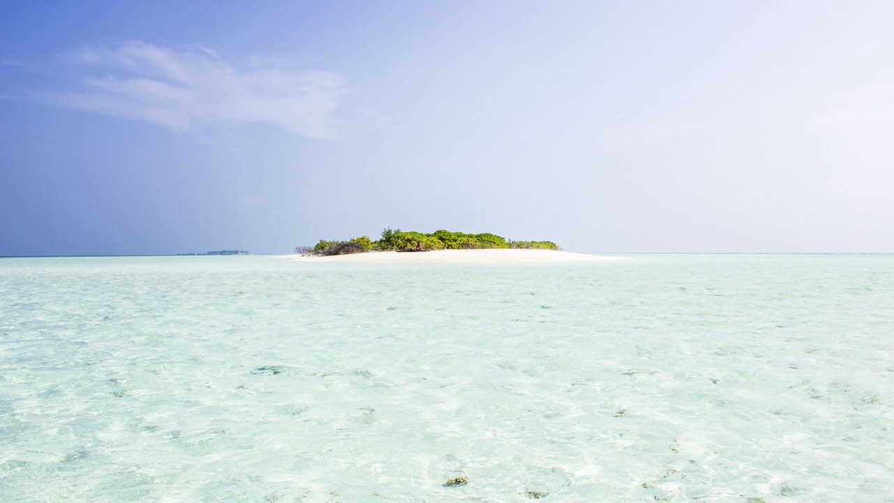 Photo of Others in Thoddoo