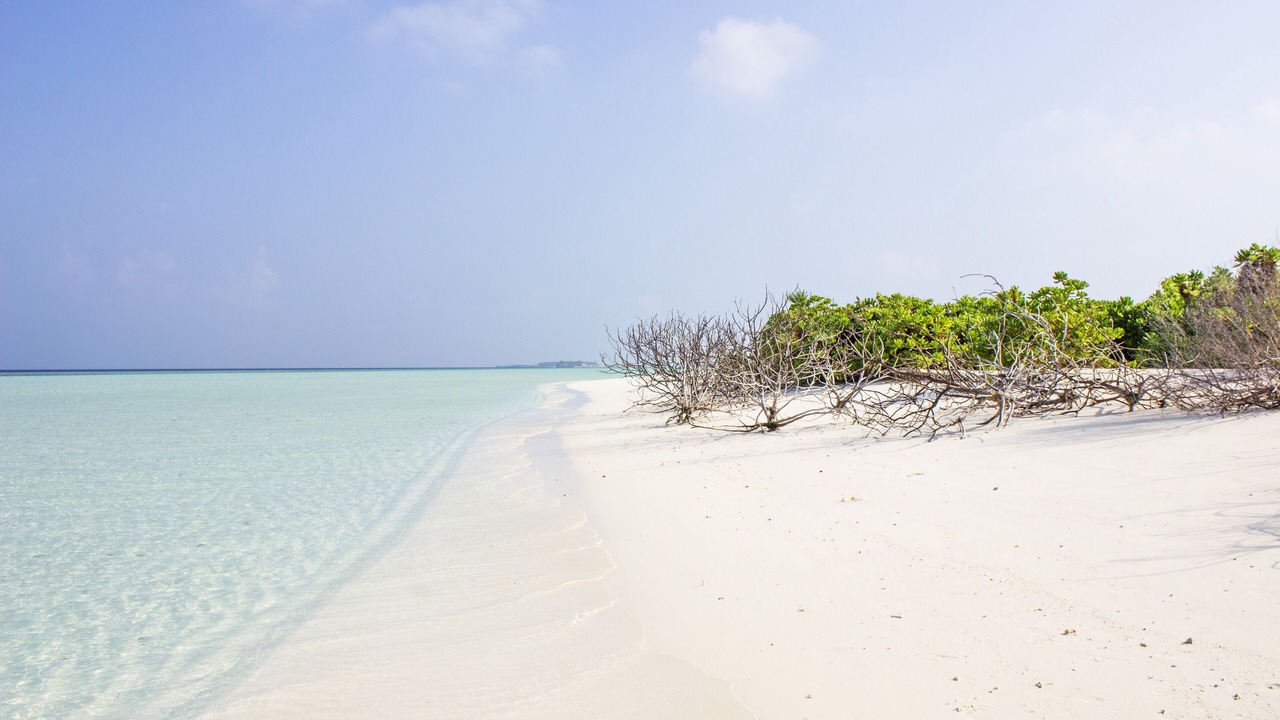 Photo of Others in Thoddoo