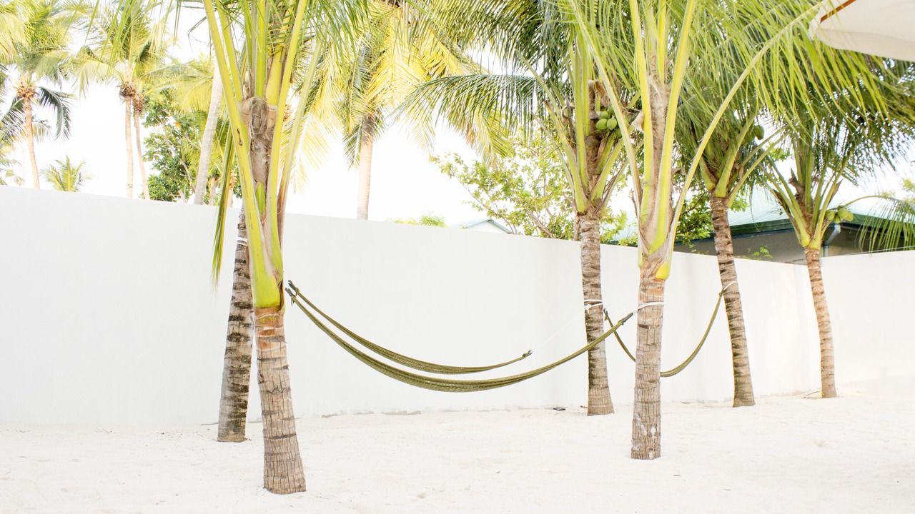 Photo of Outdoor in Thoddoo