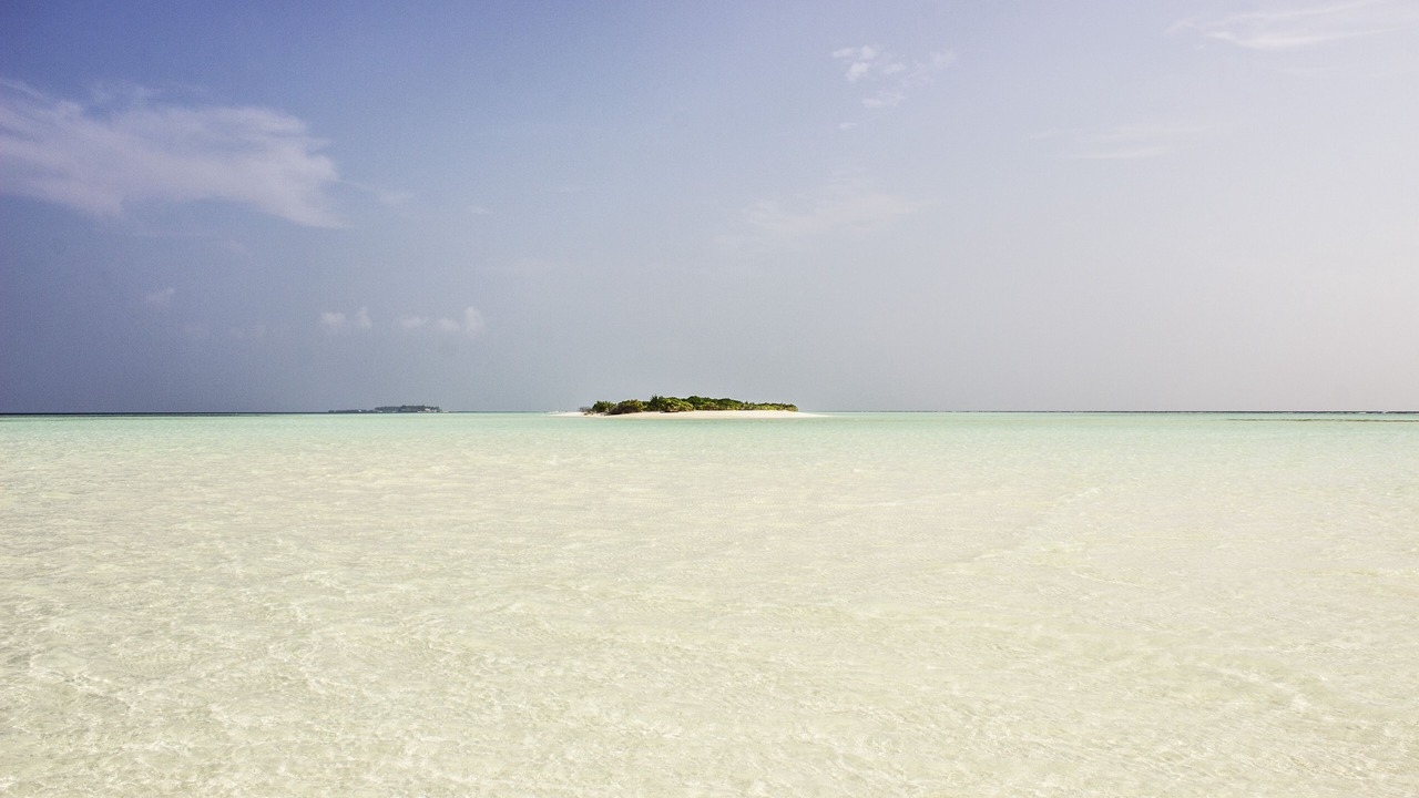 Photo of Others in Thoddoo