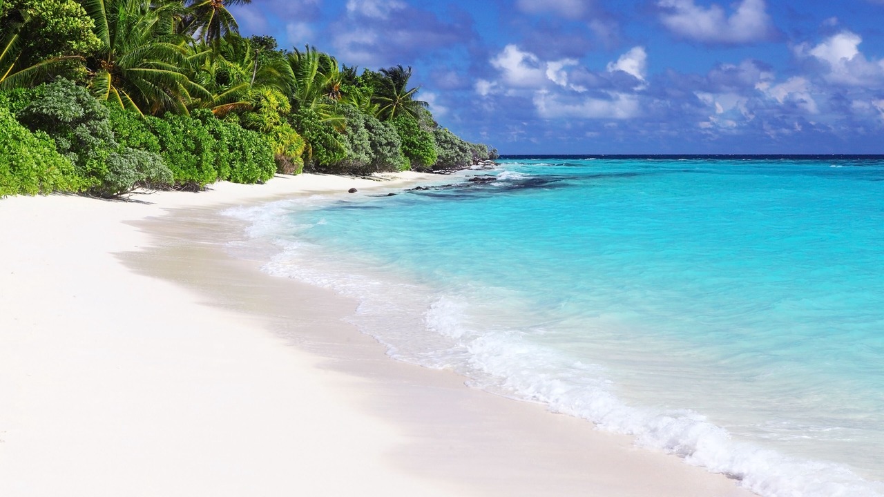 Photo of Others in Thoddoo