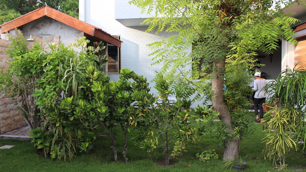 Photo of Outdoor in Hanimaadhoo