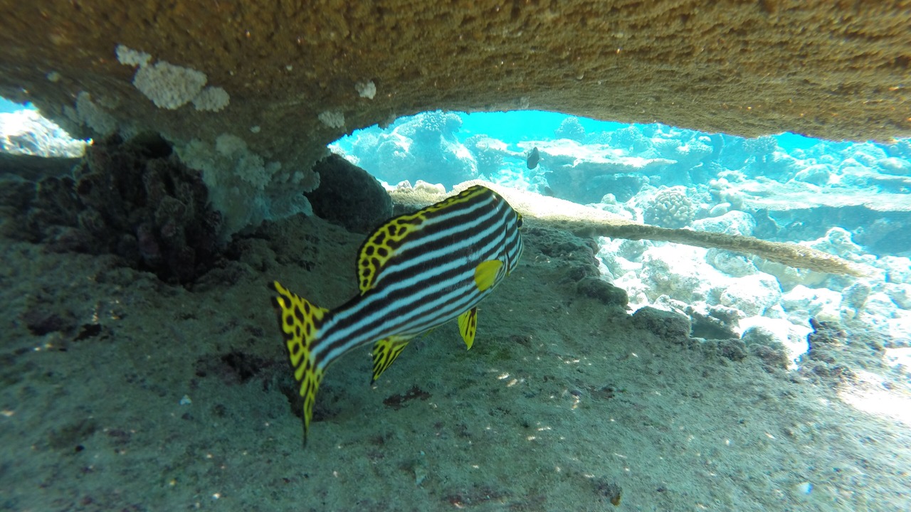 Photo of Outdoor in Rasdhoo