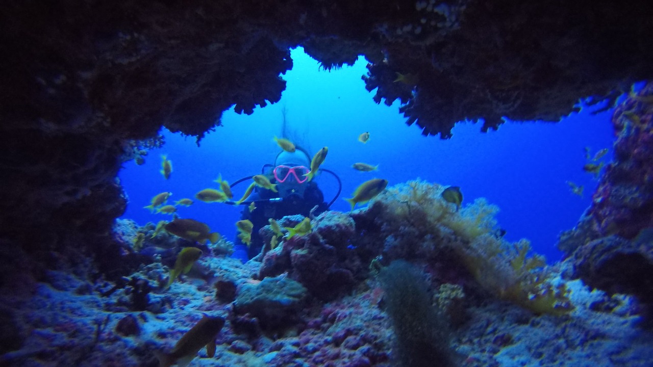 Photo of Others in Rasdhoo