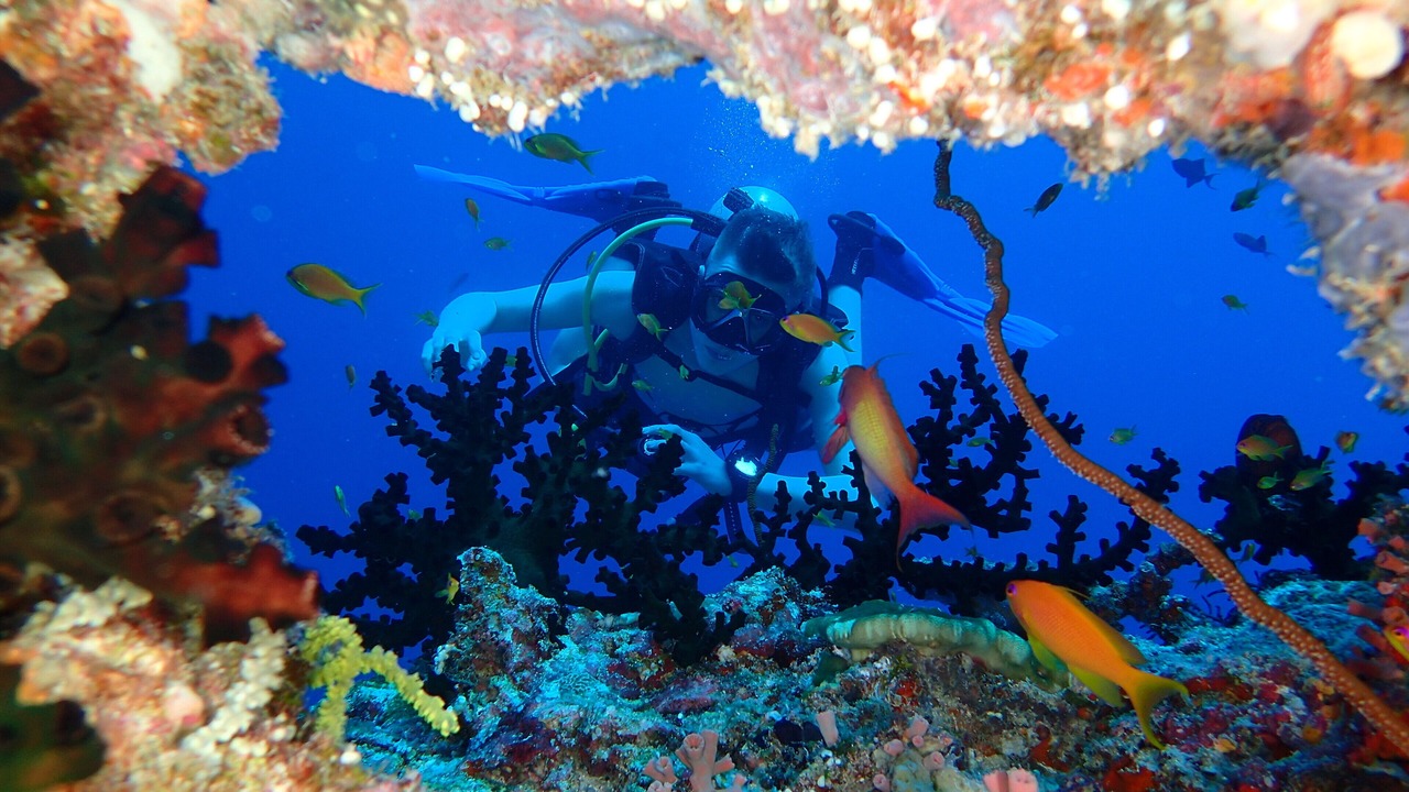 Photo of Others in Rasdhoo