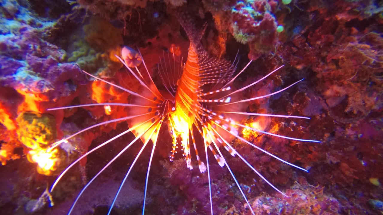 Photo of Outdoor in Rasdhoo