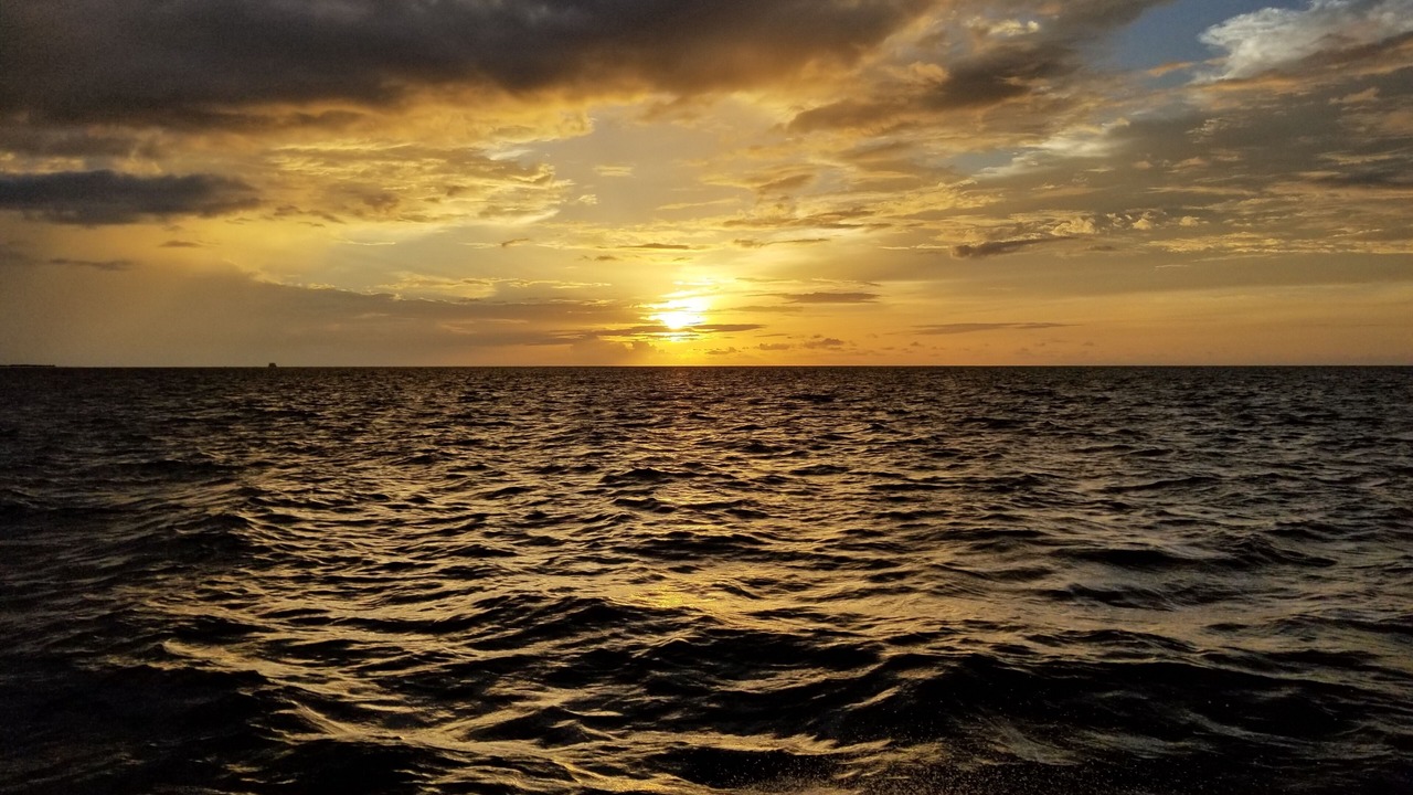 Photo of Others in Rasdhoo